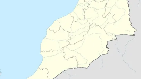 “森林巅峰对决：熊王与狼霸的荣耀之战，谁能问鼎胜利之巅？”