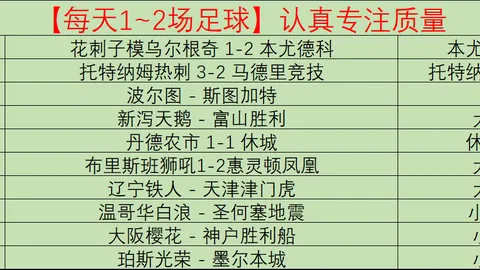 诺维利诺：帕拉蒂奇被誉为“小马洛塔”，是米兰总监梦寐以求的搭档。